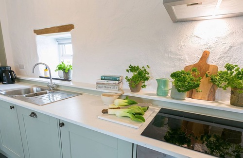 Bodorgan Cottage | Bryn Eithin - a remote that sleeps 2 guests in 1 bedroom