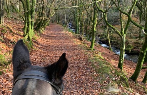Talybont Apartment | Bryn Y Bwyd Farm House