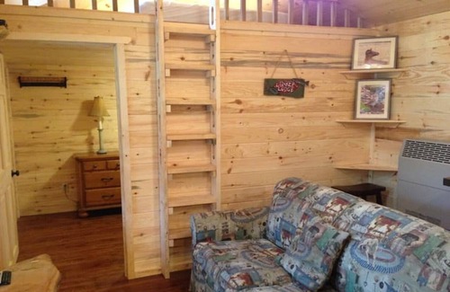 Frank Cabin | Buck Hill Tiny Home Cabin #3 Mountain & Pond Views