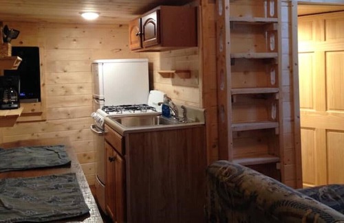 Frank Cabin | Buck Hill Tiny Home Cabin #3 Mountain & Pond Views