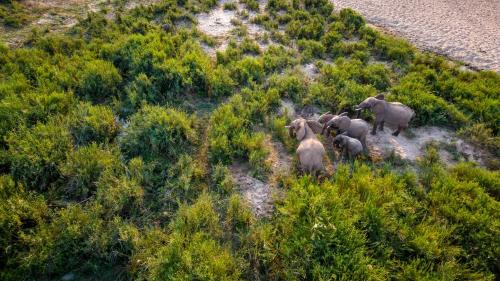 Nkomazi Cabin | Buckler's Africa Lodge Kruger Park