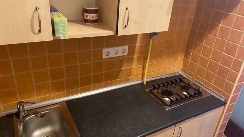 Vizivaros Apartment | Budapest Flat Rent