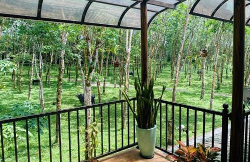 Madurawala Resort | Buddothpado International Meditation Center