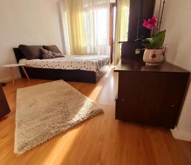 Curtea De Arges Apartment | Bulevard View Studio