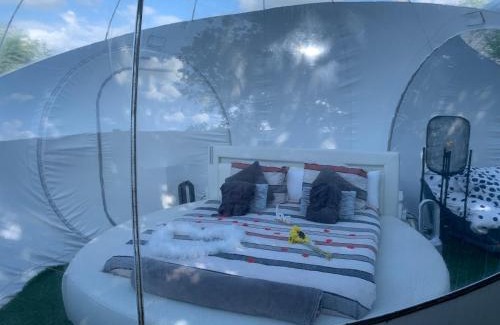 Tournai House | Bulle du puits avec jacuzzi et sauna privatif