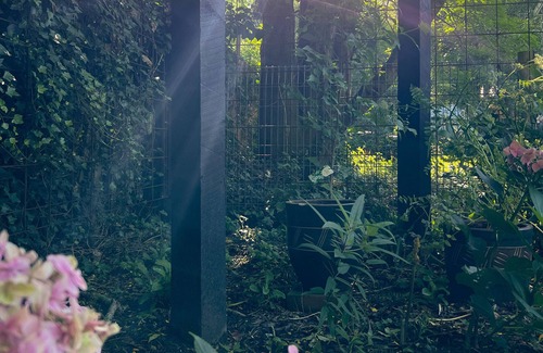 Bundanoon House | Bundanoon Garden Retreat, Stay at the bottom of the garden in Bundanoon.