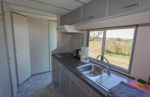 Zirkow Other | Bungalow, Adler auf Rügen