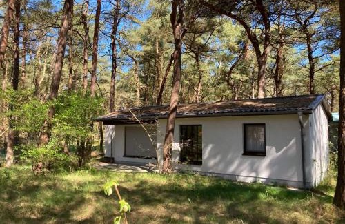 Altenkirchen House | Bungalow am Strand