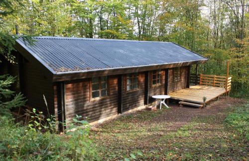 Bad Arolsen House | Bungalow; Haus 111 Ferienpark Twistesee, Bad Arolsen