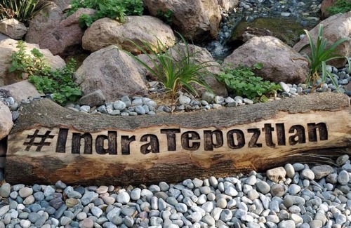 Amatlan House | Bungalow Indra Tepoztlan. Beautiful, Eco and Clean