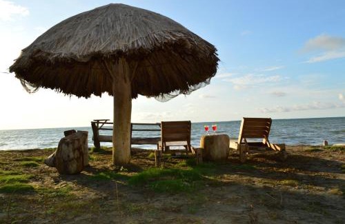 Monitos House | Bungalow Palmar del Viento