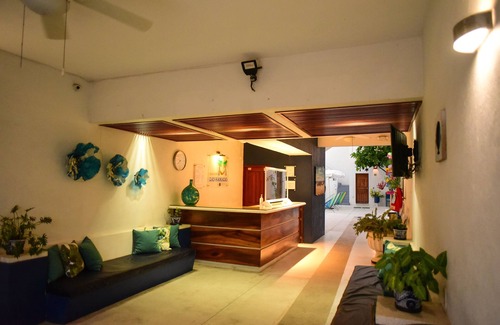 Centro Hotel | Bungalows Las Hamacas