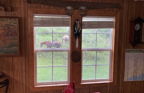 Cosby House | Bunkhouse at English Mountain-Unlimited creek access-Farm Views