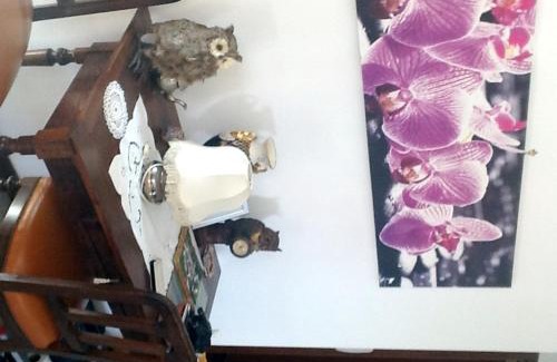 Historic Center Hotel | Buon Hotel Bologna Centro - Affittacamere - Self Check-In