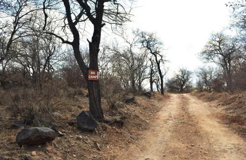 Maruleng Other | Bush Babies Camp