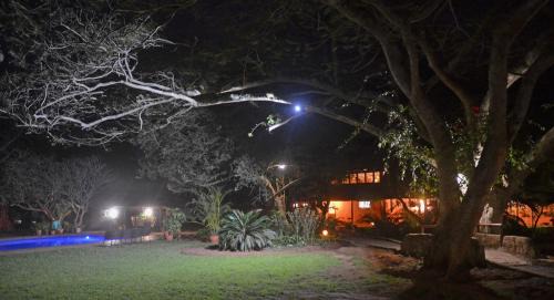 Hluhluwe Cabin | Bushbaby Lodge & Camping