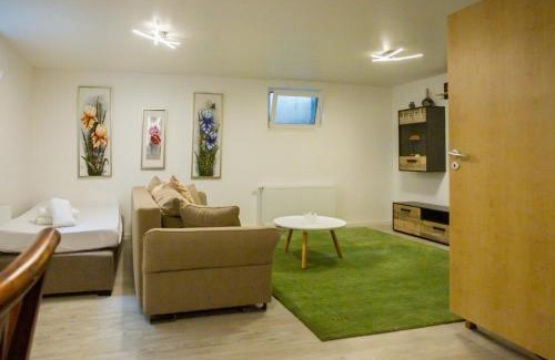 Kaiserslautern Apartment | Business Apartment