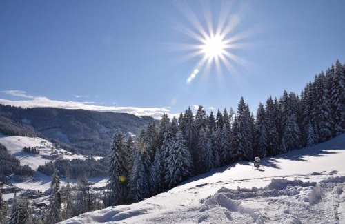 Sankt Martin am Tennengebirge Bed & Breakfast | Buttermilchalm