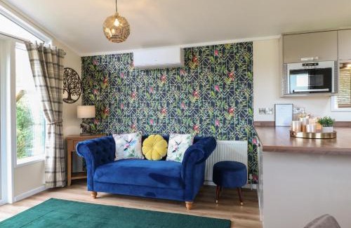 Swadlincote House | Buttercup