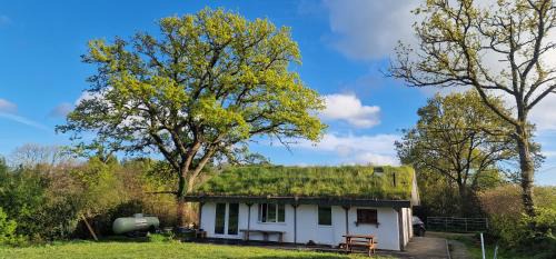 Chard Other | Buzzard's Nest Glamping Oak