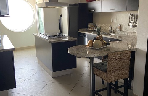 Ixtapa Condo | BVG "Penthouse", largest unit w/XL wrap around deck !