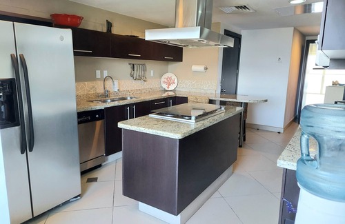 Ixtapa Condo | BVG "Penthouse", largest unit w/XL wrap around deck !