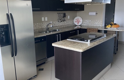 Ixtapa Condo | BVG "Penthouse", largest unit w/XL wrap around deck !