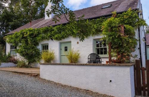 Boduan House | Bwthyn Gwyn Ty'n Y Pant