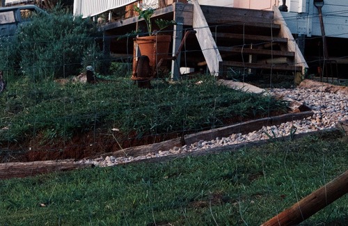 Rosebank House | Byron Bay Hinterland Off Grid Cabin Farm Stay