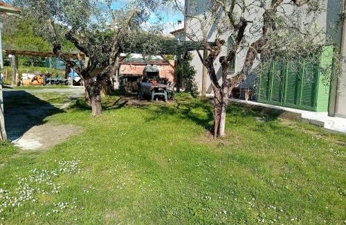 Castelnuovo Magra Apartment | Cà degli Aredi - citra (011011-LT-0106)
