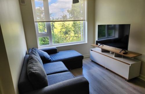 Osorno Apartment | Cómodo y acogedor departamento