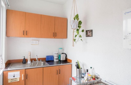 Roma Sur House | (c) Tu lugarcito chido en Roma Norte.