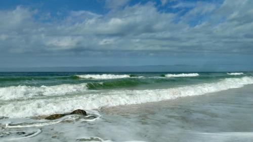 Madeira Beach House | C3-Star Fish