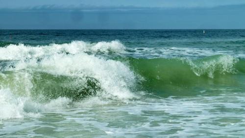 Madeira Beach House | C3-Star Fish