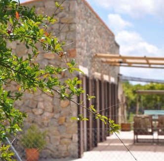 Campanet Villa | Ca'n Guiri, Eco Finca in Mallorca