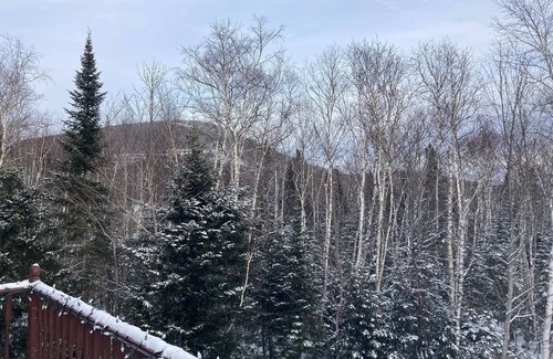 Petite-Riviere-Saint-Francois Cottage | Charlevoix vacation home - Spa et Repos 10 minutes from the Massif