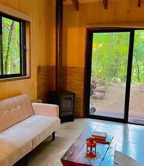 Panguipulli House | Cabaña Alto del Bosque