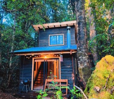 Panguipulli House | Cabaña Alto del Bosque