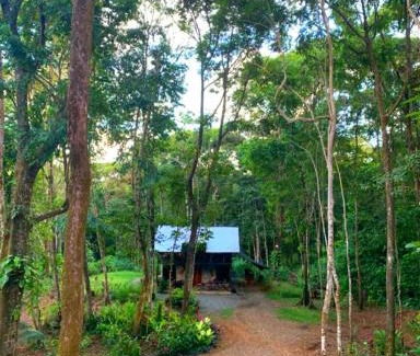 Ballena House | Cabaña Eco-Arte