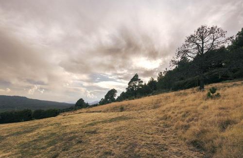 Tlalpan Apartment | Cabaña en el Ajusco, experiencia única en la naturaleza
