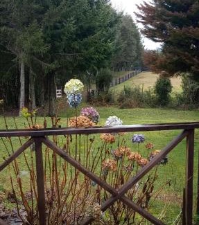 Puyehue House | Cabaña en el campo