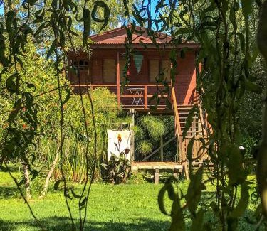 Partido de Tigre House | Cabaña en Isla del Delta de Tigre - LA CALMA
