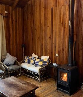 Pinto Apartment | Cabaña en Villa Los Leones