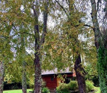 Valdivia House | Cabaña entre árboles