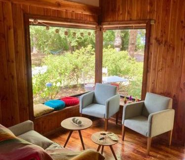 Valdivia House | Cabaña entre árboles
