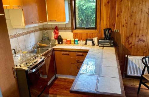 Valdivia House | Cabaña entre árboles