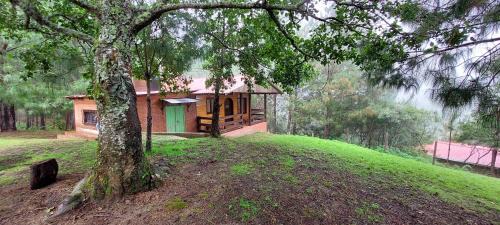 San Jose del Pacifico House | Cabaña La Vía Láctea