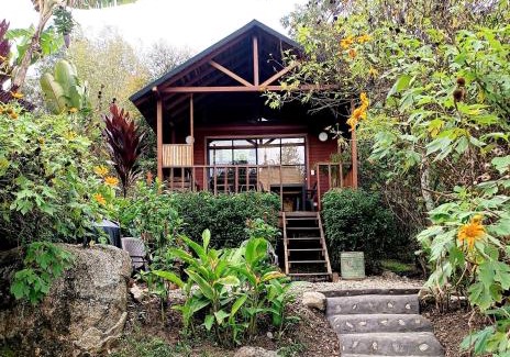 Concepcion House | Cabaña Momotus I