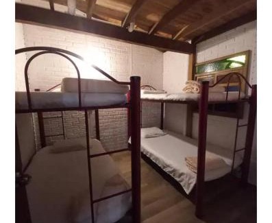 Cocorna Cabin | Cabaña Raíces del Bosque