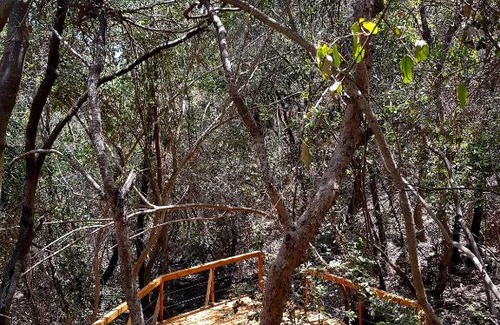 Olmue House | Cabaña, Refugio Exclusivo, Olmué, Parque Nacional La Campana